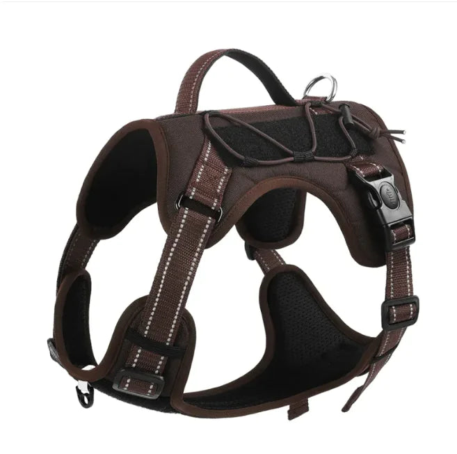 Pet Harness