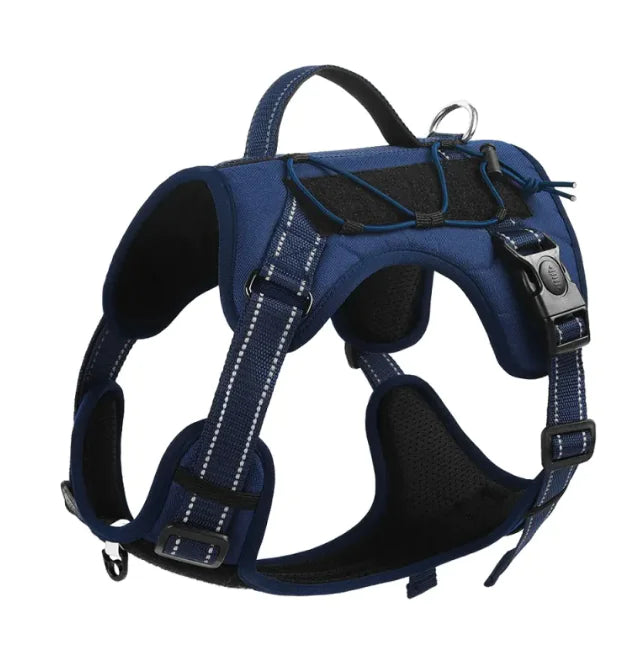 Pet Harness