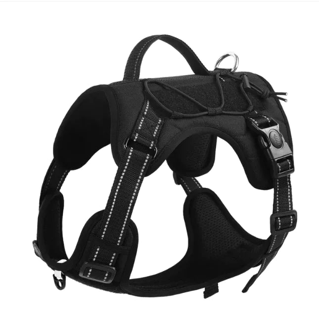 Pet Harness