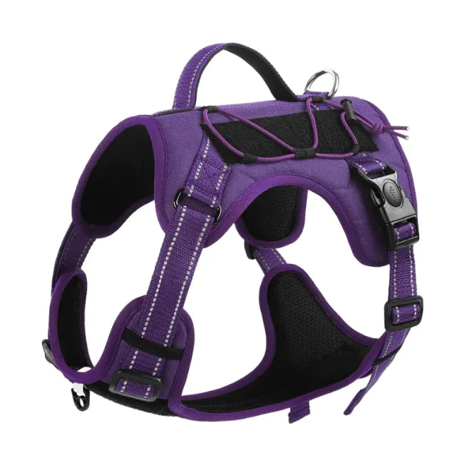 Pet Harness