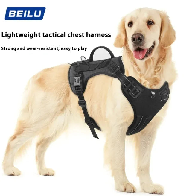 Pet Harness