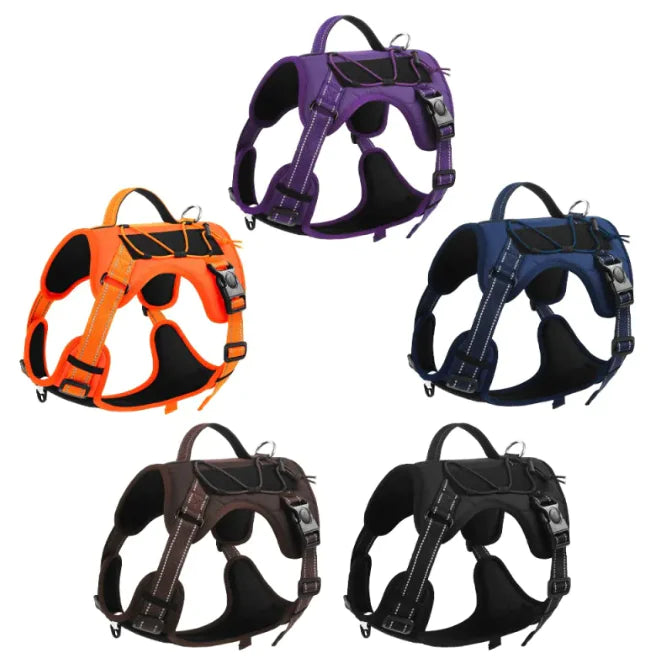 Pet Harness