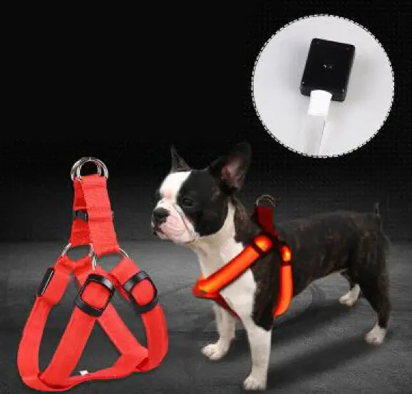 LED Luminous Dog Chest Strap